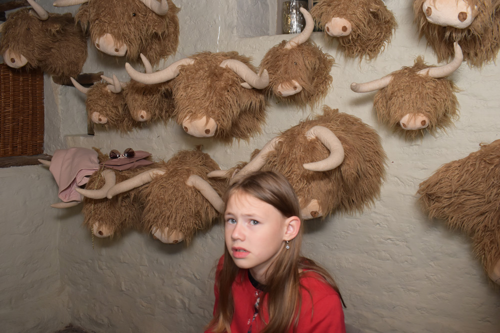 PartyBooth BY ELIAS WALPOT PHOTOGRAPHIE